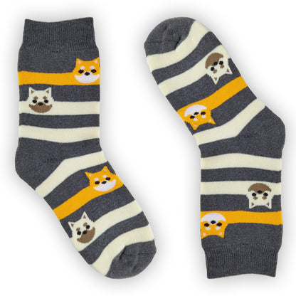 Frostfighter Damen Thermosocken (6x Paar) Winter Ski Vollfrottee Innenfutter